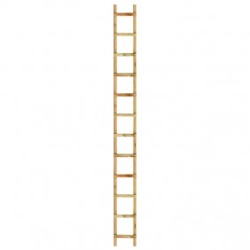 Echelle de toit - bois 3,96m- entre-axe 33 cm - 12 échelons OUTIFRANCE