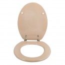 140019 face ouvert-2500.jpg MSV