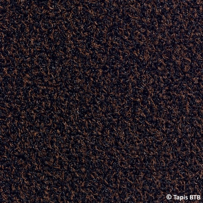 btb_capture_marron_bricozor.jpeg BTB