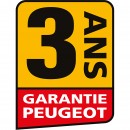 150009-2-dt-45.jpg PEUGEOT