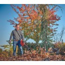 Souffleur sans fil GE-LB 36:210 Li E-Solo - Power X-Change - Bricozor 2.jpeg EINHELL