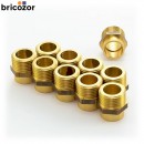 4_D1_732146_00282.jpg BRICOZOR