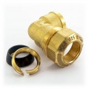 0_D5_658252_00449.jpg EFFEBI