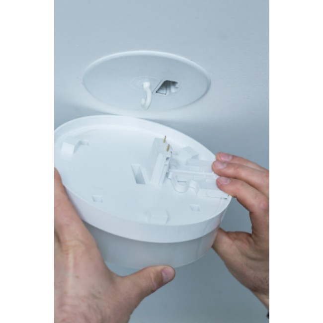 169241_2.jpg EBENOID