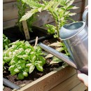 14-carre-potager-gariguette-ambiance-credit-jardipolys.jpeg JARDIPOLYS