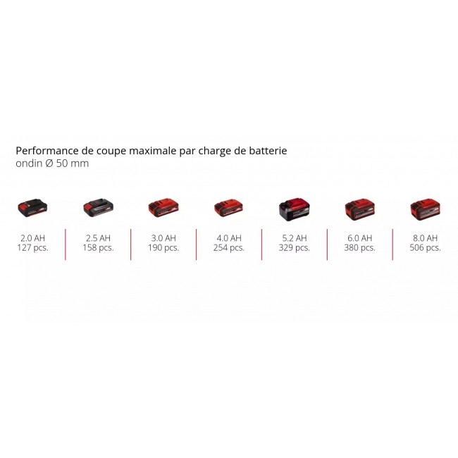 Élagueuse sans fil GE-PS 18:15 Li Bag Kit - Power X-Change - Bricozor 10.jpeg EINHELL