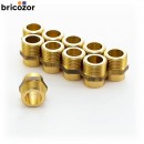 2_D1_732146_00093.jpg BRICOZOR