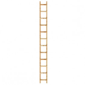 Échelle de couvreur - bois - 2,5m - entraxe 25 cm OUTIFRANCE