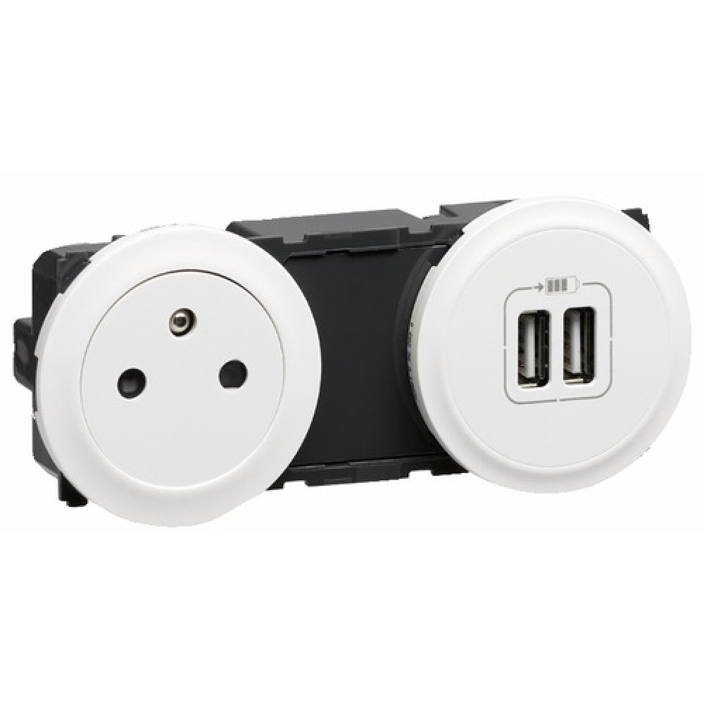 ProCar Prise de courant intégrée avec prise double USB-A + 2 prises de  courant Charge de courant max=20 A
