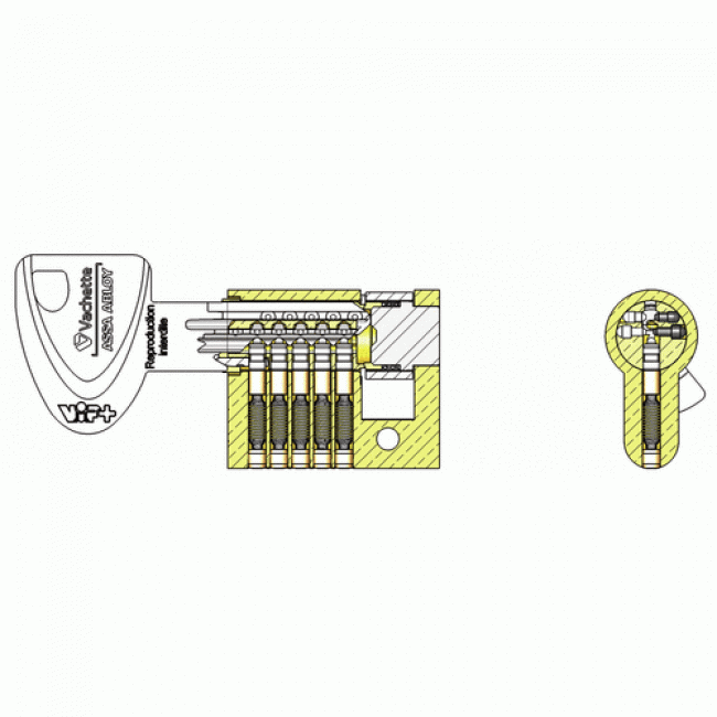WS288758.gif VACHETTE