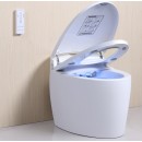 Diamond-3-Réduit-1600x1580.jpg TopToilet