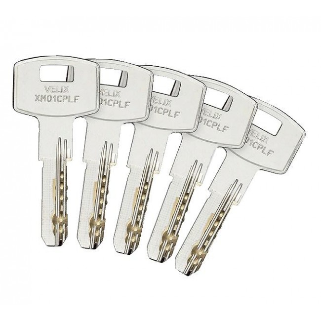 pm_11812_192_192433-62t6in9wna-whr.jpg VACHETTE