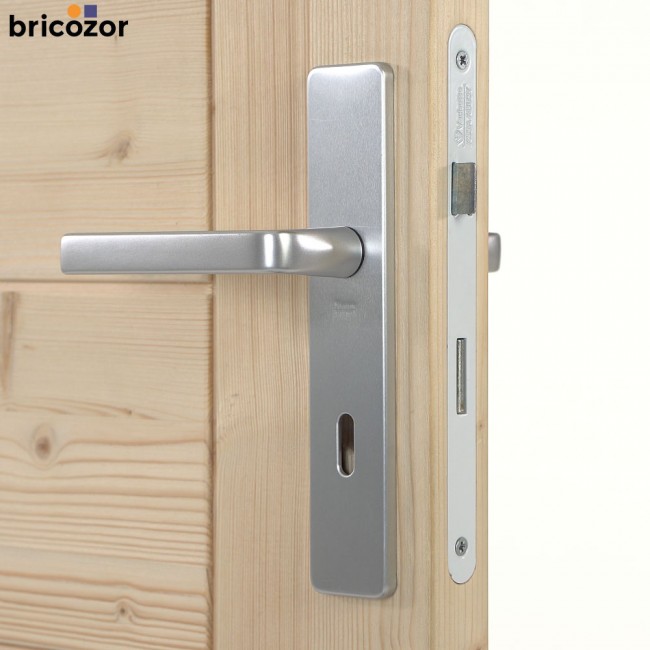 48_2023_06_07_VACHETTE_KAZA_ALUMINIUM_ARGENT_628593_00003_BRICOZOR.jpg VACHETTE