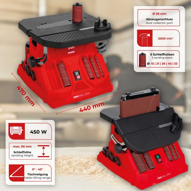 OBS100A-2.jpg HOLZMANN