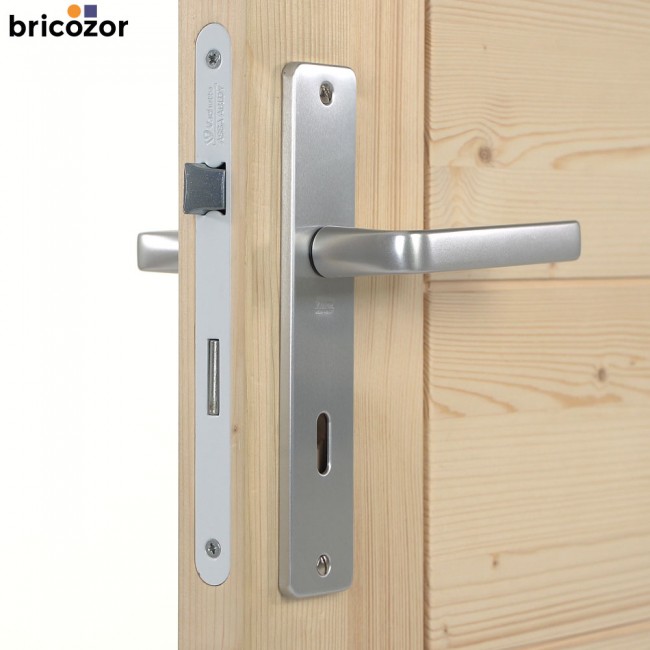 48_2023_06_07_VACHETTE_KAZA_ALUMINIUM_ARGENT_628593_00001_BRICOZOR.jpg VACHETTE