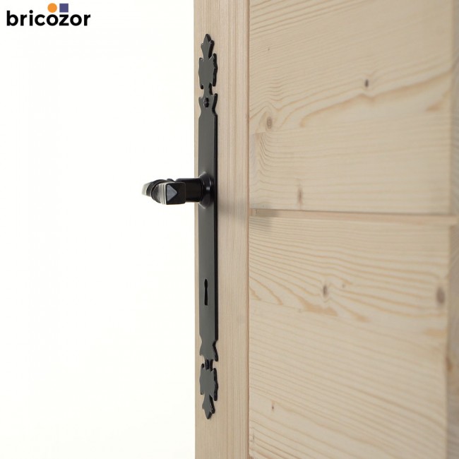 35_2023_06_07_BOUVET_BOURGOGNE_FER_NOIR_302889_00006_BRICOZOR.jpg BOUVET