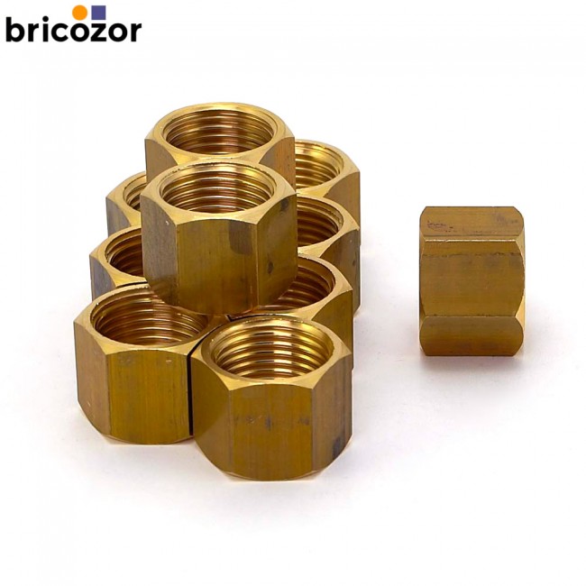 1_C3_732818_00000.jpg BRICOZOR