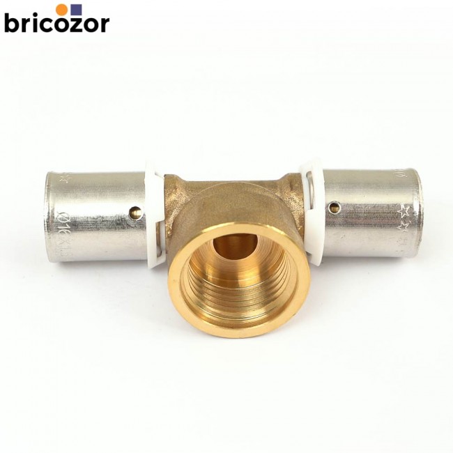 C6_BOUT3187512_B.jpg BOUTTÉ