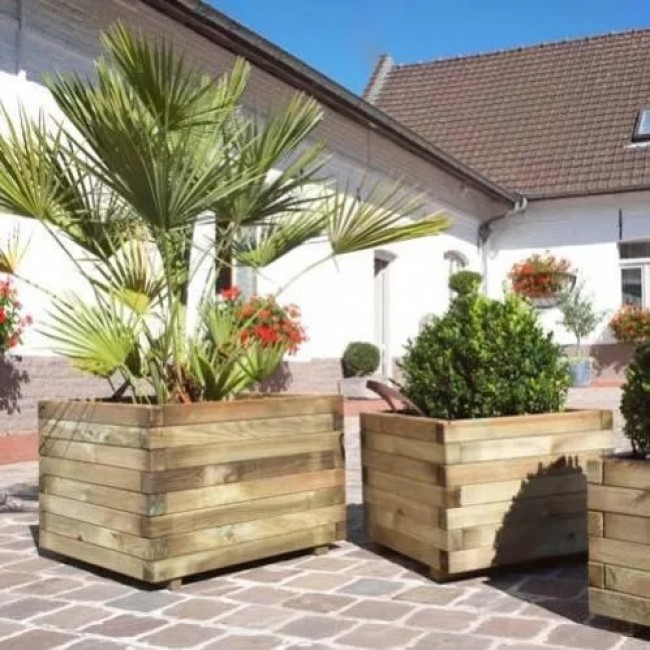 B0281054_amb.jpg JARDIPOLYS