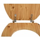 140002 zoom charnieres.jpg MSV