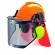 Casque forestier complet V-GUARD Premium 500 MSA