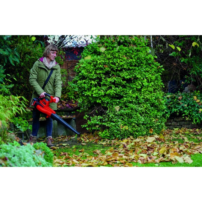 Aspirateur à feuilles - sans fil - 18V - GE CL 36:230 Li E - Solo-Bricozor 13.jpeg EINHELL