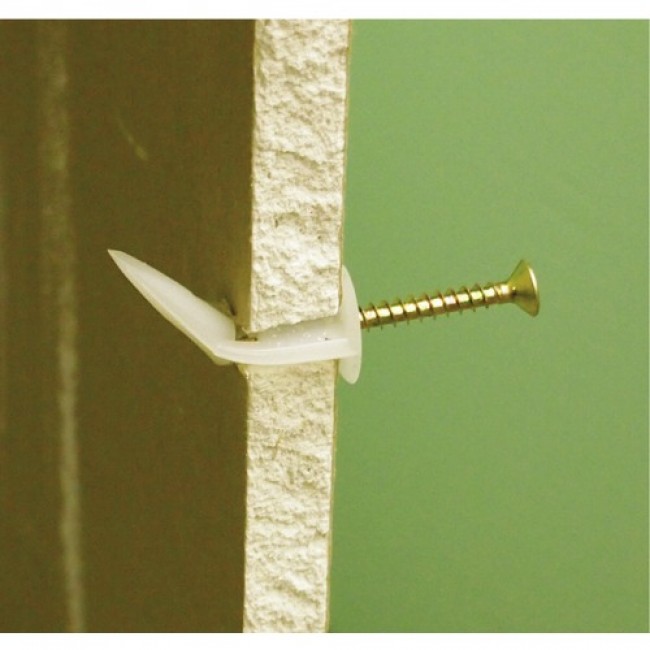 I345094_3.jpg PRUNIER