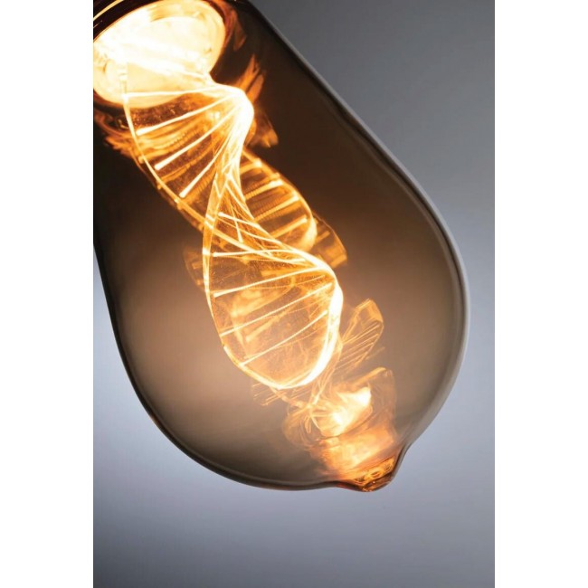 pm_11812_431_431338-70g1xw4wah-whr.jpg PAULMANN