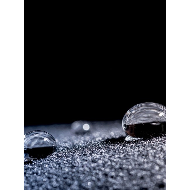 galerie_223_protect-max.jpg DALEP