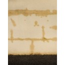 galerie_221_d-21.jpg DALEP