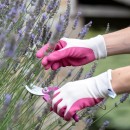 21_PE-141.jpg BLACKFOX