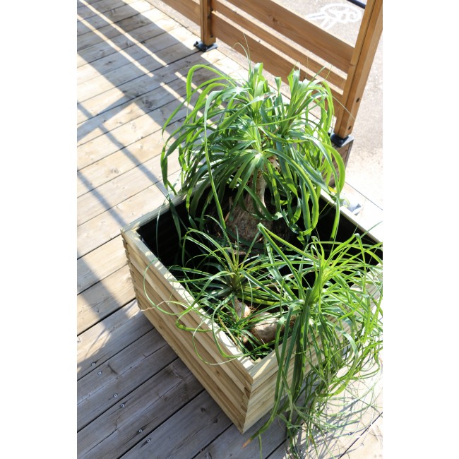 1131_BAC KUB 60_AMBIANCE_2.JPG CERLAND