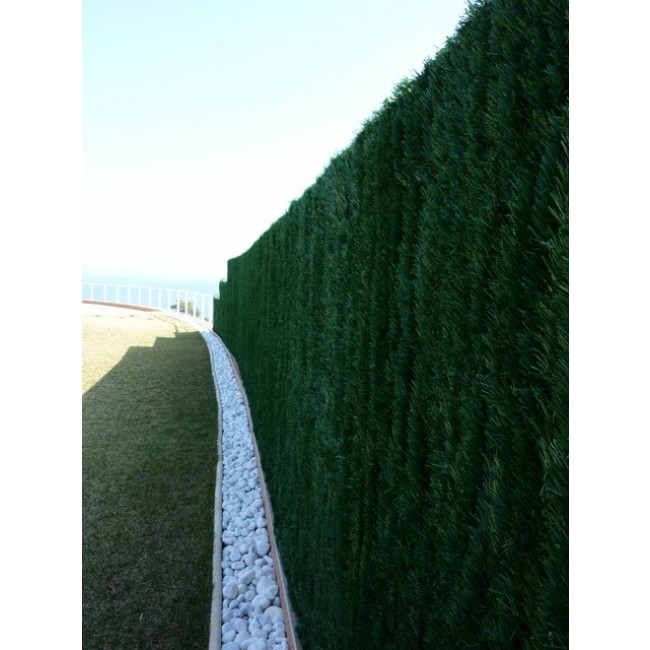 P1000039.JPG JET7GARDEN