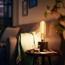 philips-e27-giant-tube-led-6-5w-dorée-bricozor.jpeg PHILIPS