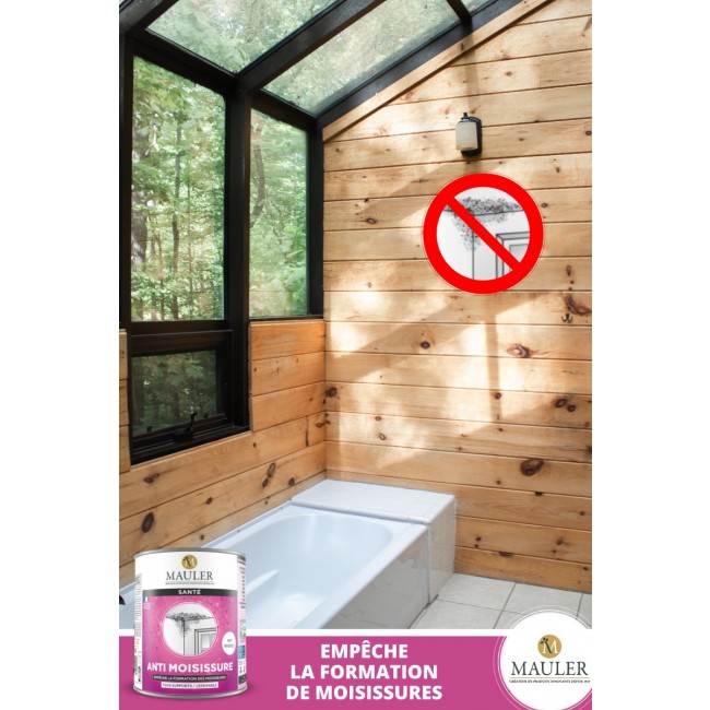 Anti moisissure mur en bois.jpg Mauler