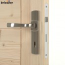 2023_05_31_VACHETTE_MUZE_PLATINE_11_00003_BRICOZOR.jpg VACHETTE