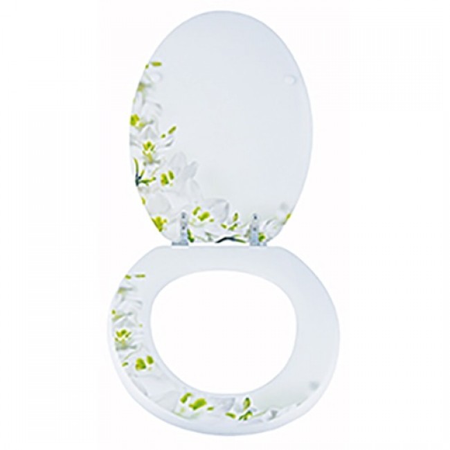 20230127115500-bbade9c1-cu_e520.jpeg MSV