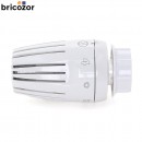 3_B1_617694_00187.jpg GIACOMINI