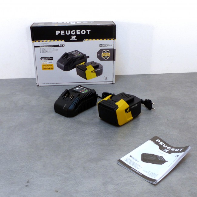 250631-dt-50.jpg PEUGEOT