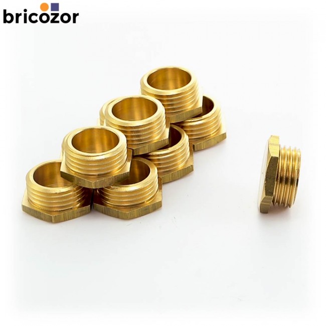 1_C8_732230_00000.jpg BRICOZOR