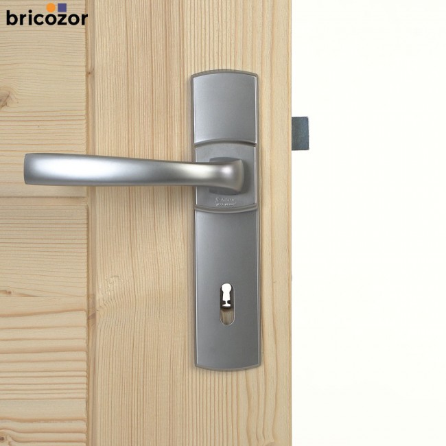 2023_06_02_VACHETTE_MUZE_CHROME_VELOURS_12_00004_BRICOZOR.jpg VACHETTE