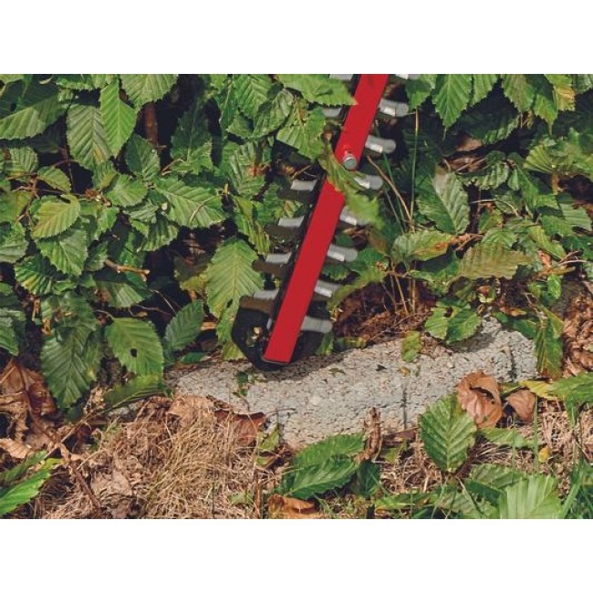 Taille-haies sans fil - ARCURRA 18:55 - Solo - Power X-Change - Bricozor 4.jpeg EINHELL