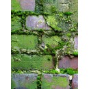 galerie_138_dalep-uc-eco-r.jpg DALEP