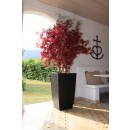 013696 NO Ambiance (2).jpg EDA PLASTIQUES