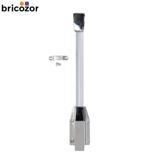 1_B5_113210_BZ_6509.jpg BRICOZOR