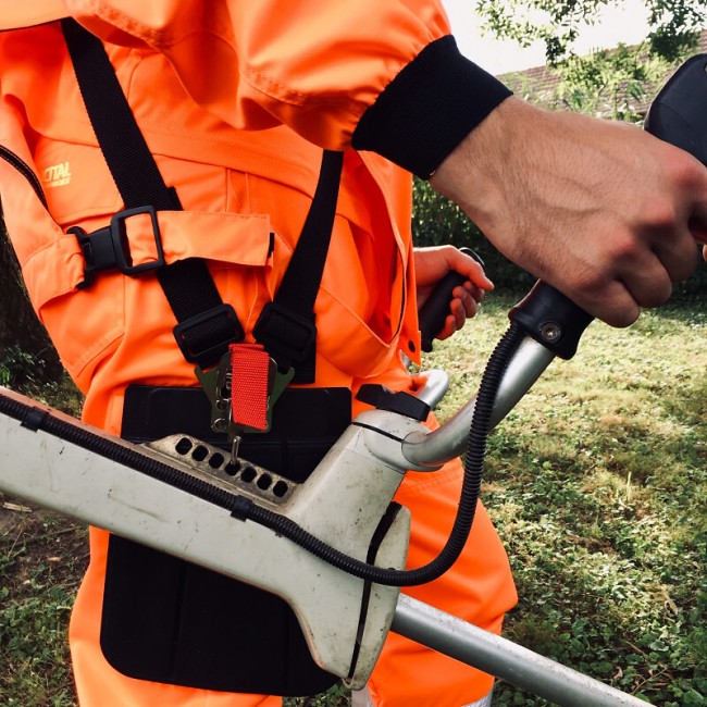 pm_11812_684_684318-n1xhf2gcbp-whr.jpg FRANCITAL