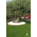 gazon jet7green30R ac logo.jpg JET7GARDEN