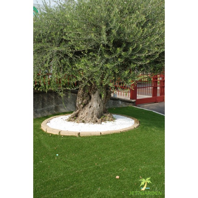 gazon jet7green30R ac logo.jpg JET7GARDEN