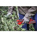 Sécateur télescopique 18V - GP-LS 18:28 Li T BL-Solo - Power X-Change - Bricozor 2.jpeg EINHELL