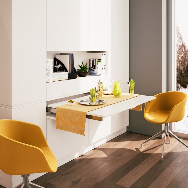 Coulisses_pour_plateau_extractible_table_d_appui_Lunch+39_2_bricozor.jpg EMUCA